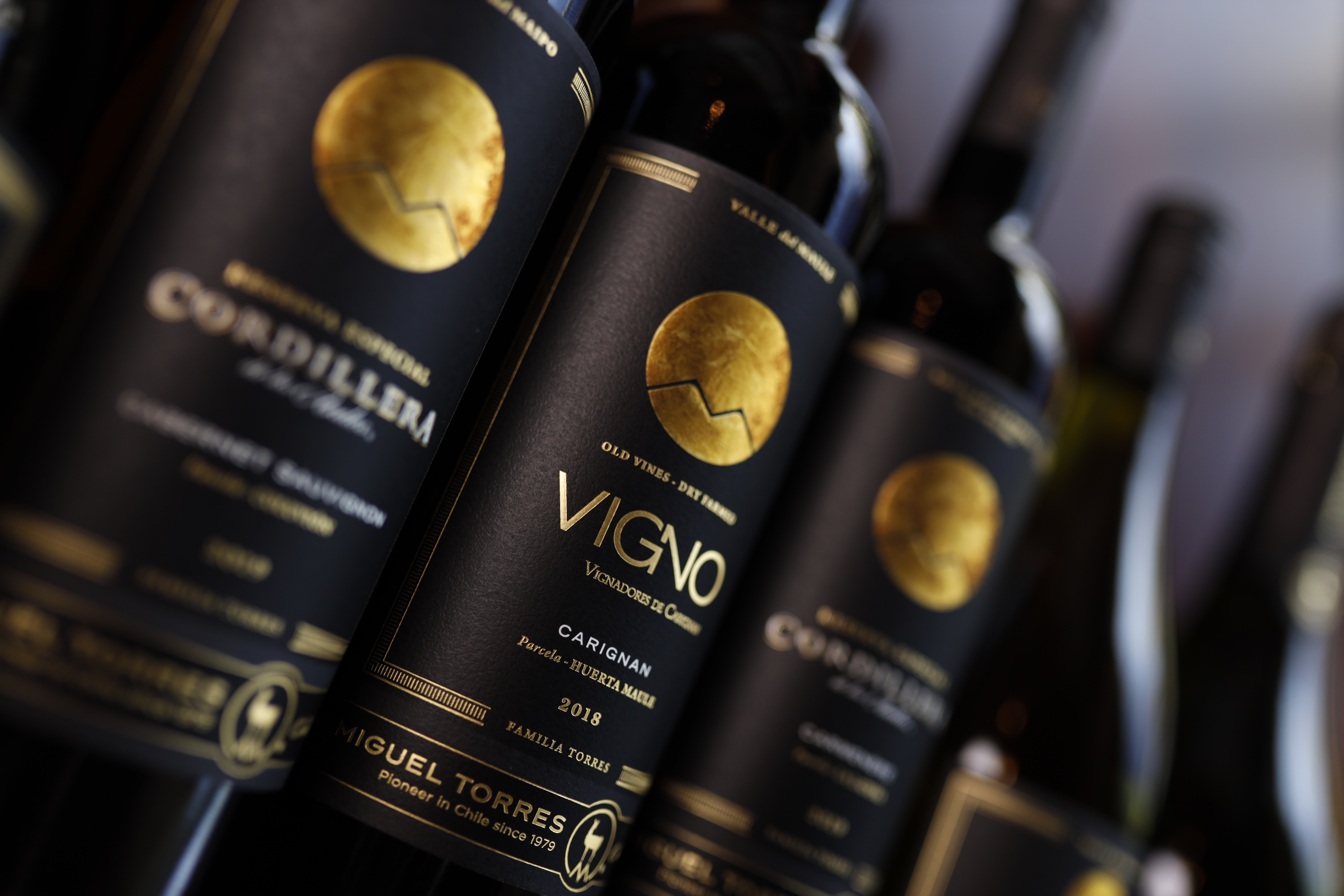 Vigno Carignan | Familia Torres